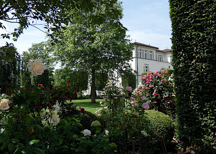 Auf dem Schafhof in Kronberg 2021
