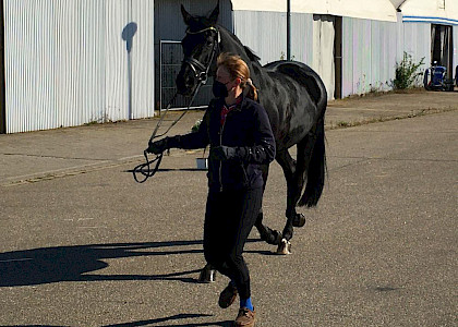 CDI4* Mannheim April 2021